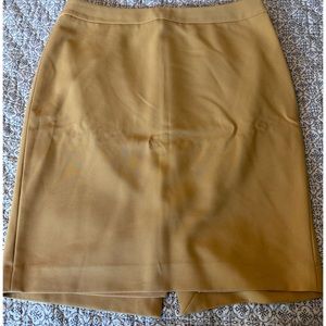 The Limited Skirt